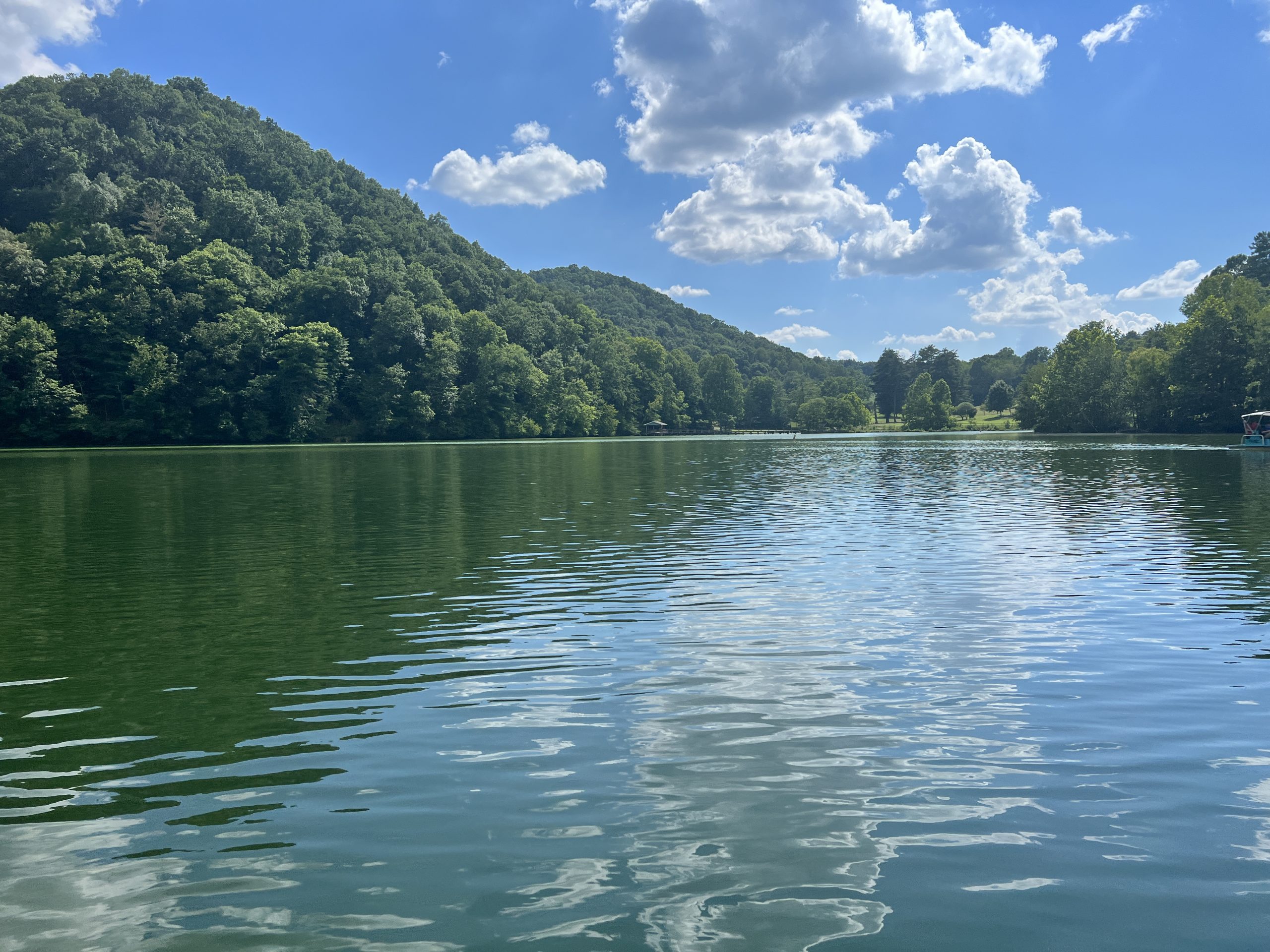 Summer at Steele Creek in Bristol Tennessee